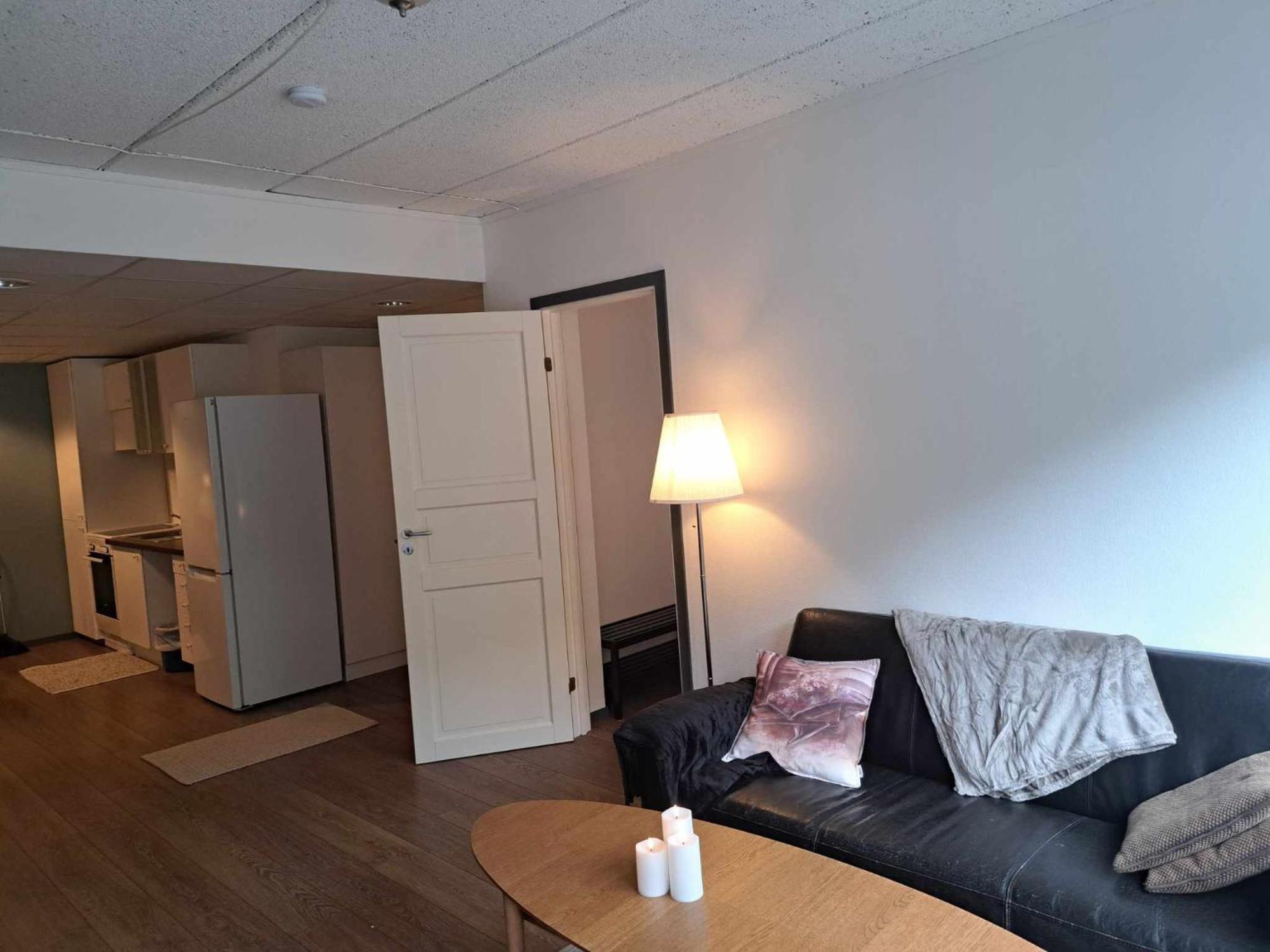 Apartment Haukeli Hotell Leilighet